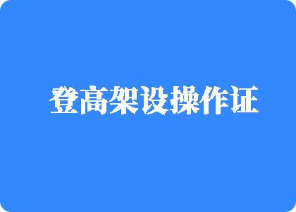 插无毛粉嫩逼视频登高架设操作证